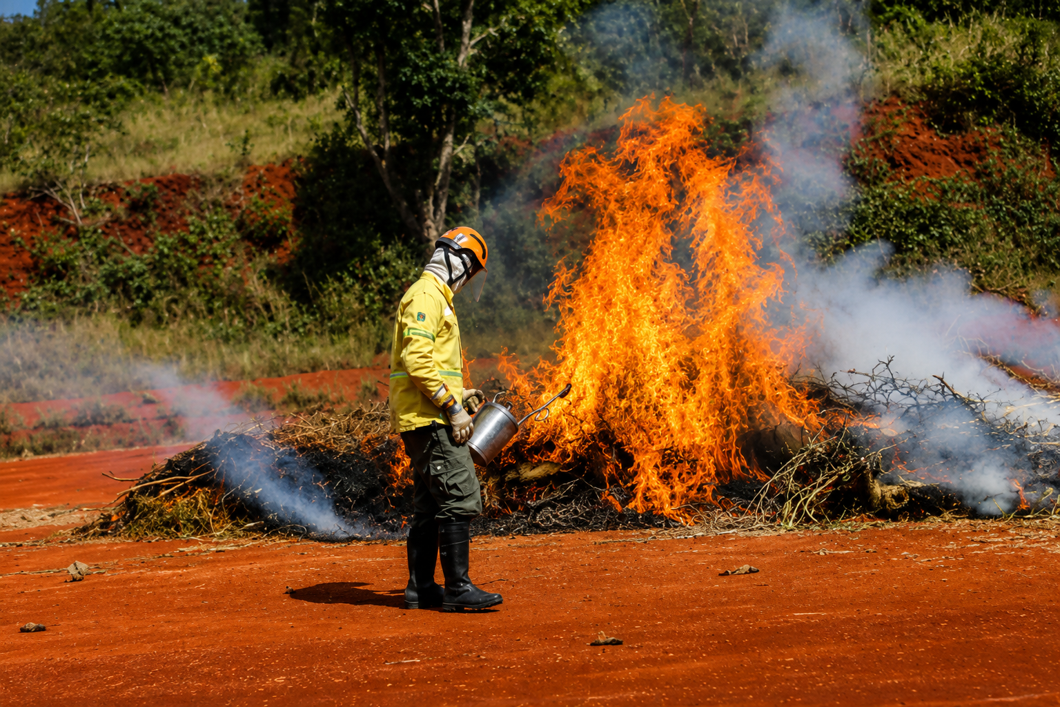 acao-humana-causa-9-em-cada-10-incendios-em-sao-paulo